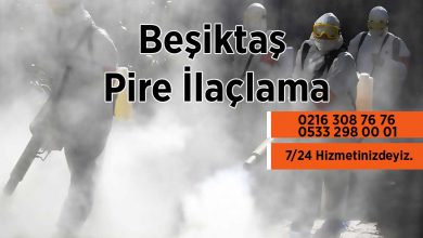 Beşiktaş Pire İlaçlama Firması